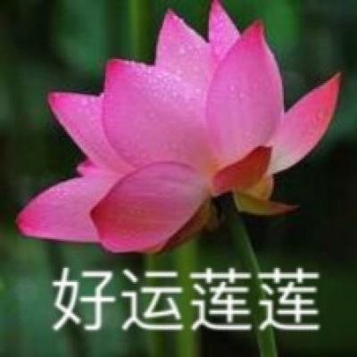 易倍下载手机版